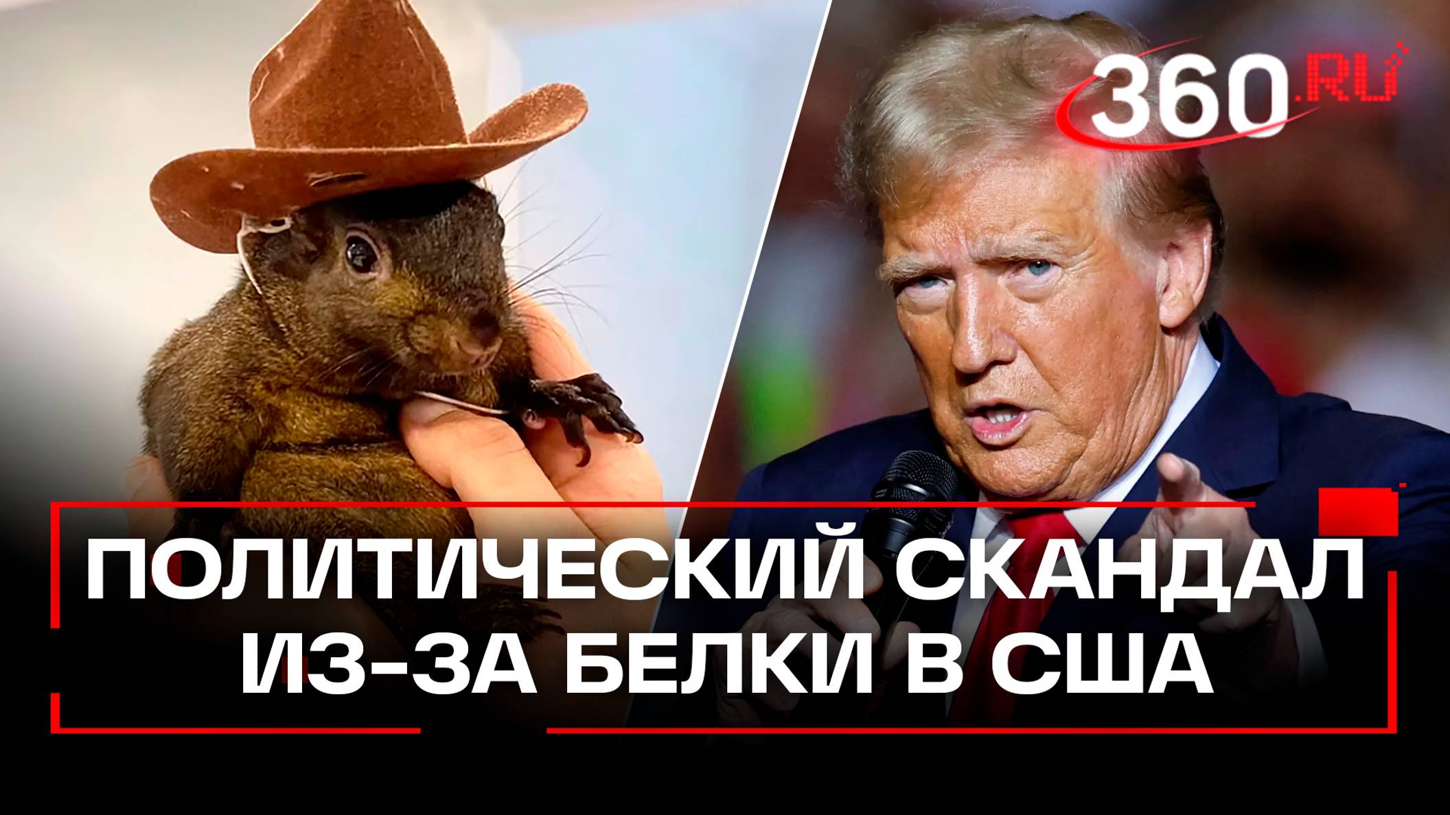 Трамп и Маск на стороне белки Арахиса: как убитое животное стало символом выборов в США