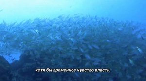 "Убеждения по поводу денег". 10 ноября. Мелоди Битти. Ежедневник для созависимых.