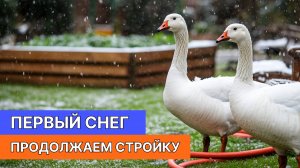 Первый снег на участке ❄️ Продолжаем строительство мангальной зоны! Жизнь за городом