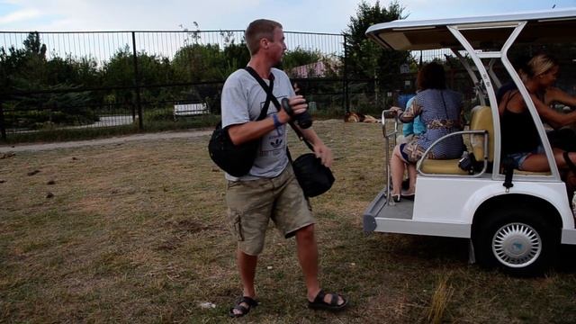 Как львы реагируют на дрон ! смотреть онлайн