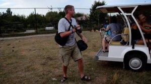 Как львы реагируют на дрон !