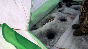 Рыбалка в глухозимье