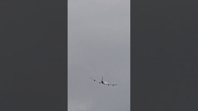 Lufthansa