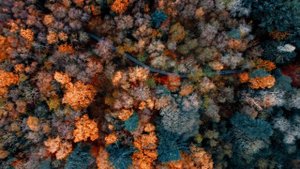 10309770-hd_3840_2160_25fps