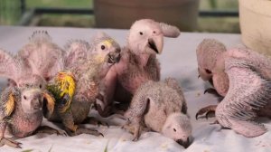 855554-hd_1920_1080_25fps