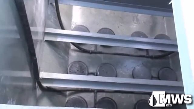 BioDrafts надземный