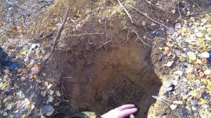 Охота на барсука//охота с Ягдтерьером // Badger Hunting with a Jagdterrier