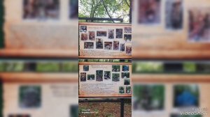 Ялта.Поляна сказок.