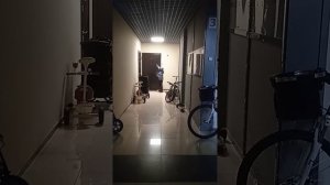 Стучимся в двери !! 2 Часть.🤫😬