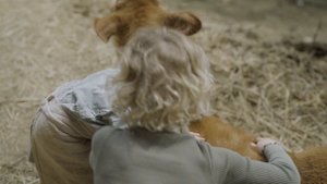 7671712-uhd_3840_2160_24fps