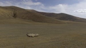 8419436-uhd_3840_2160_25fps