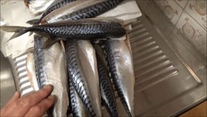 Хранение рыбы длительный период