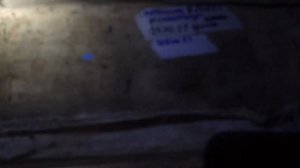 ЗИМОВКА СРЕДНЕРУССКИХ ПЧЁЛ В ПОДПОЛЕ...