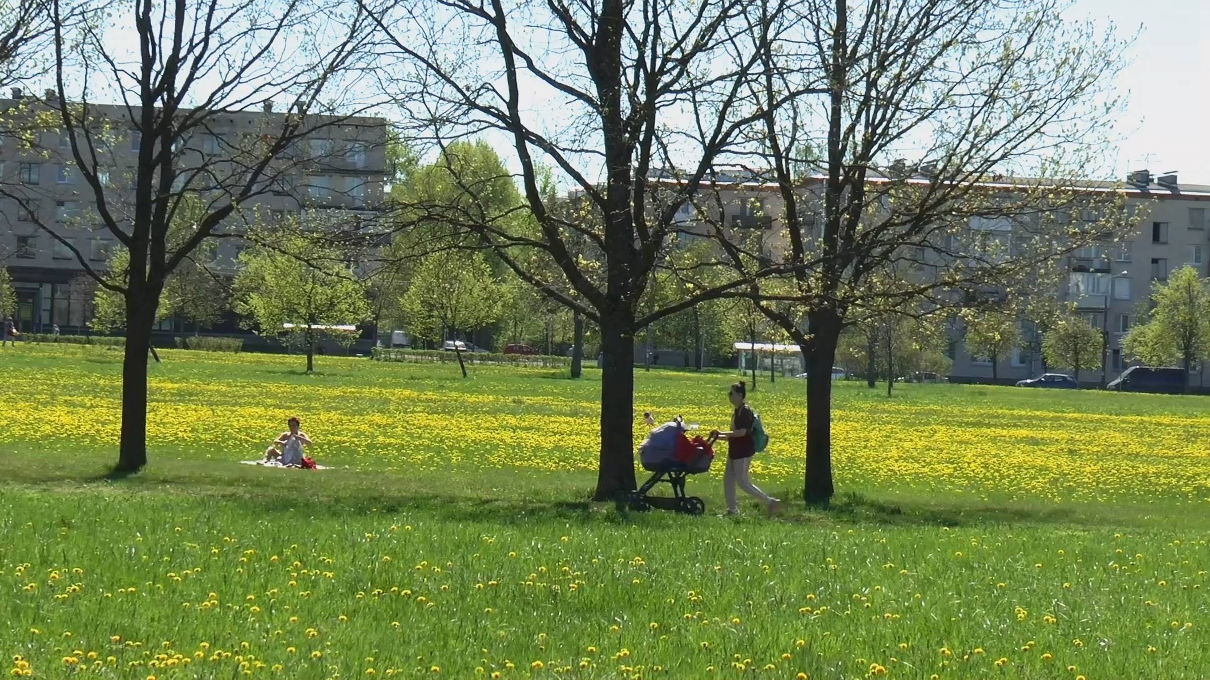 Петергоф - У одуванов в плену.. смотреть онлайн