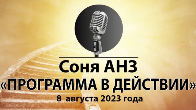 Соня АНЗ. Спикерское: Тема программа в действии. 8 августа 2023г.