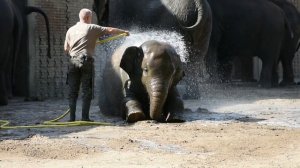 6807706-hd_1920_1080_30fps