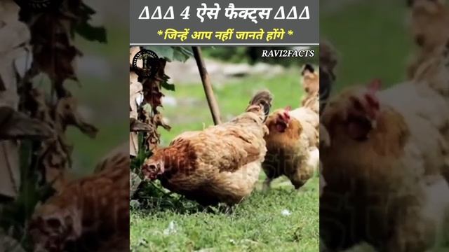 4 ऐसे फैक्ट् जिन्हें आप नहीं जानते होंगे #viral #shots #facts