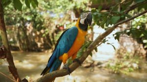 10041598-hd_1920_1080_24fps