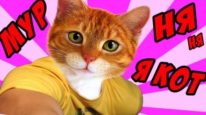 СИМУЛЯТОР КОТА -｜｜- Catlateral Damage