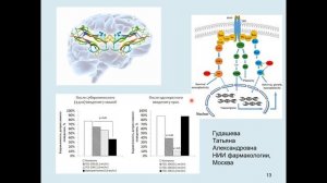 Дубынин В. А. - Химия мозга - 10. Субстанция P, окситоцин, семакс