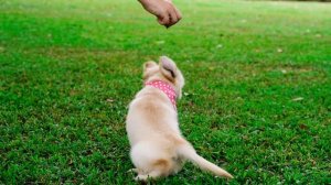 5764223-hd_1920_1080_24fps