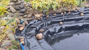 Пруд своими руками. 5 серия.(короткометражная). Наготовила вкусняшек! Что меня улыбнуло?😃