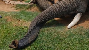 3842821-uhd_3840_2160_30fps