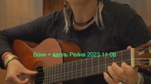 Чуть Бонна и вдоль Рейна. 2023 11 09 не #луафАсра