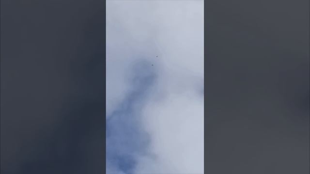 03.11.24г - насыщенный день на голубедроме г.Шахтерск смотреть онлайн