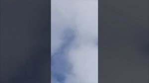 03.11.24г - насыщенный день на голубедроме г.Шахтерск