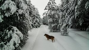 Чека от гранаты- ключ от всех дверей. Песни СВО.