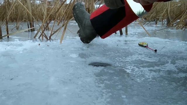 Ловля окуня на мормышку