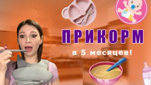 Прикорм в 5 месяцев! || Как кормить ребёнка в возрасте 5 месяцев?