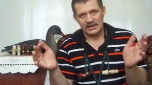 Белолобый гусь. Урок 2.MOV