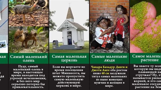 Сравнение - Самые маленькин вещи в мире