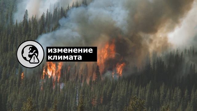 Защита здоровья при помощи природы и биоразнообразия