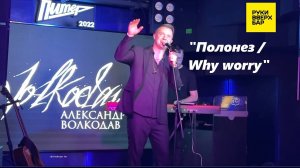 "Полонез / Why worry"- исп. Александр Волкодав, Питер, РУКИ ВВЕРХ бар, 2024 #александрволкодав #хит