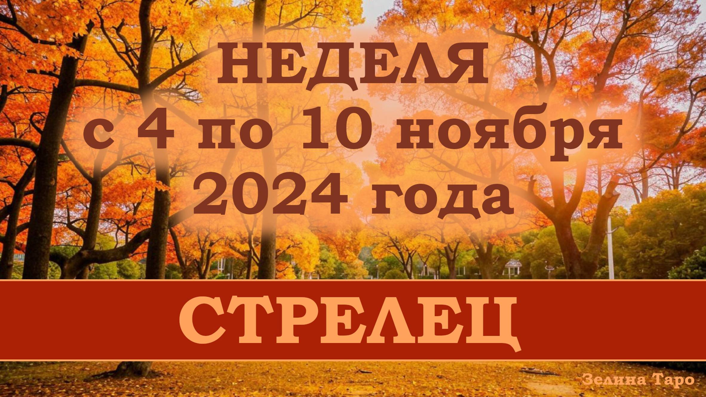 СТРЕЛЕЦ | Таро прогноз на неделю с 4 по 10 ноября 2024 года
