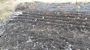 3.11.24 закрытие сезона 2024