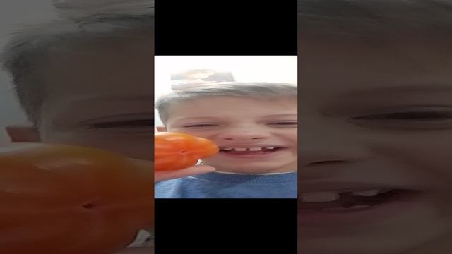 экзотическая еда