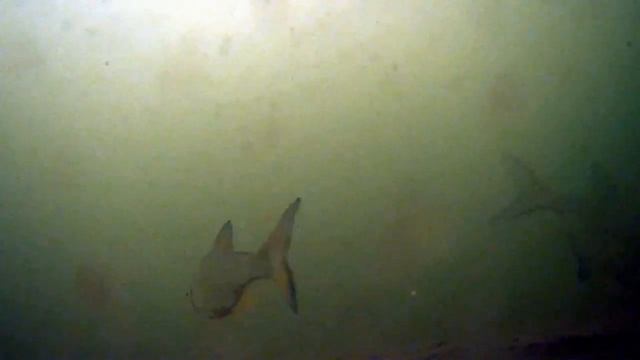 Зимняя рыбалка 2020 // Сутки на льду