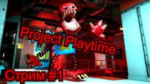 Project Playtime стрим #1