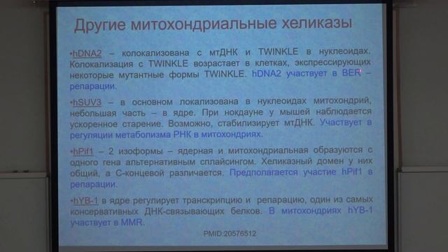 Зиновкина Л. А. - Молекулярная биология митохондрий - 3. Ферменты репликации в митохондриях