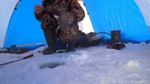 Рыбалка на леща на реке //Fishing on the river