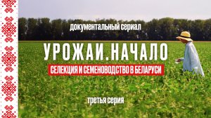 Селекция и семеноводство в Республике Беларусь. Серия 3 | Документальный сериал УРОЖАИ. НАЧАЛО