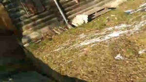 влог с выходного дня👧✌️|моя суботта💗|прогулка с лп🤗|много чего интересного