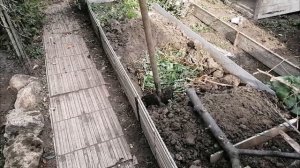 Осенняя подготовка грядок к посадкам. Грядки для цветов, перцев и томатов. 03-11-2024 огород