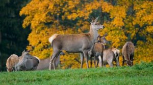 15138295-uhd_3840_2160_30fps