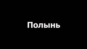 ПОЛЫНЬ Владимир Хозяенко Музыка Андрей Гучков Слова Алексей Косарев