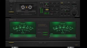 Следи за собой (КИНО) - Кавер версия VladPast и Фаната группы Кино